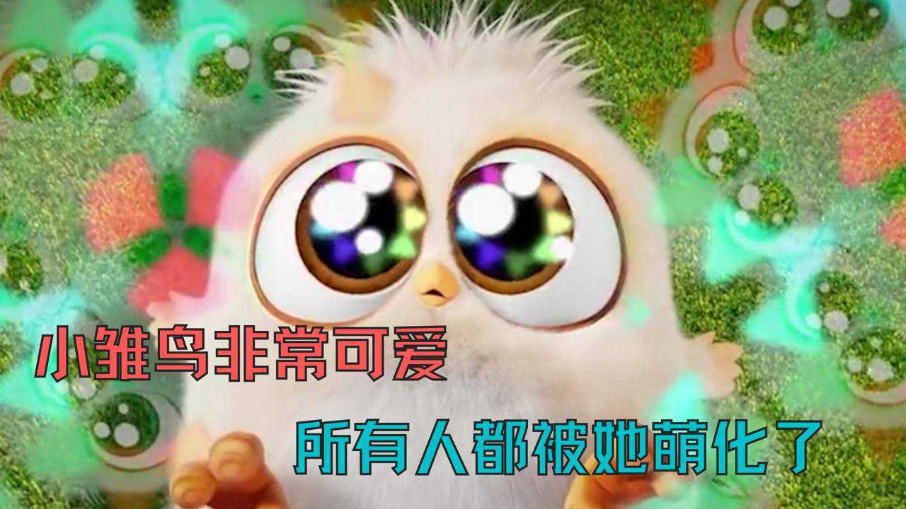 小雏鸟非常可爱，一卖萌，所有人都被她萌化了_腾讯视频