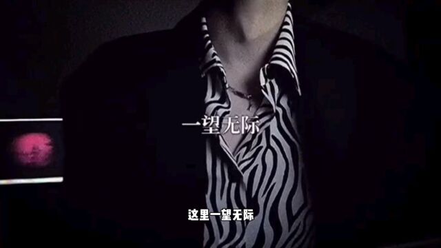 盘点宝藏男孩段弋翻唱的最好听的六首歌曲,这种低音炮嗓门真的是太爱了!