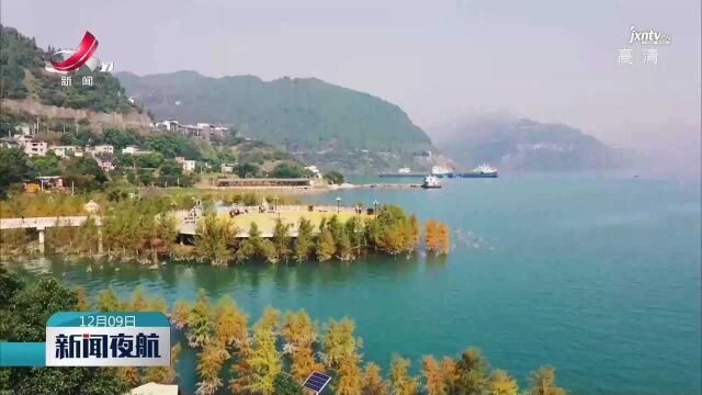 重庆万州:三峡库区再现“水中彩林”