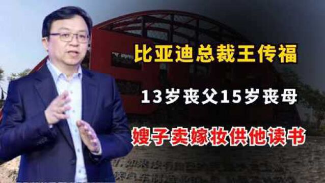 比亚迪总裁王传福:13岁丧父15岁丧母,嫂子卖嫁妆供他上大学