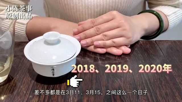 村姑陈带你看读春茶,与往年相比,2021年春白茶的四大元素!