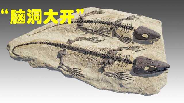 “脑洞大开”的爬行动物|爬行动物分类|大鼻龙:最原始的爬行类|地球简史系列21|海民大叔