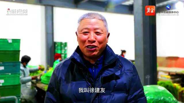 乡音话振兴丨廊坊香河李玉海:村子美了 日子更美