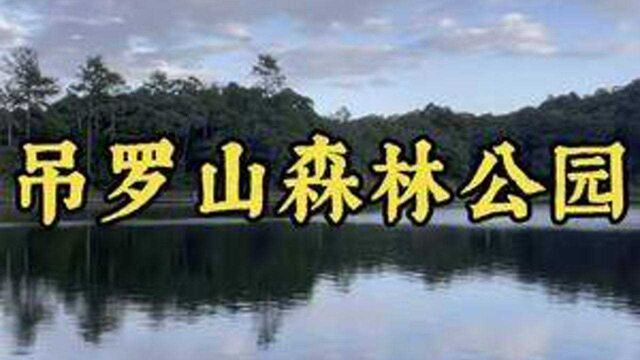 环岛深度游一吊罗山森林公园