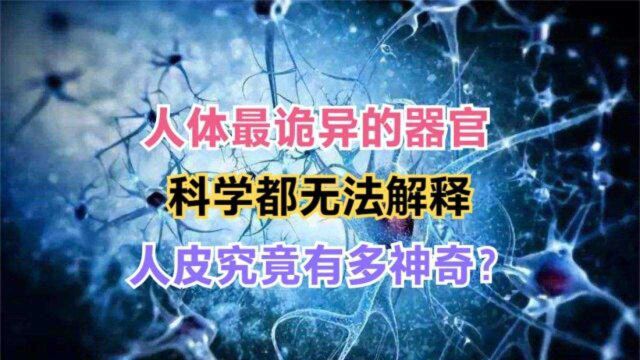 人皮究竟有多神奇?可谓是诡异的器官,科学家都无法解释原理?