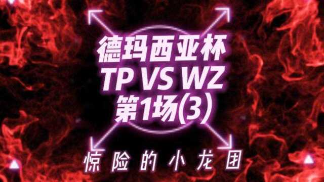 德玛西亚杯TPVSWZ第1场(3)惊险的小龙团