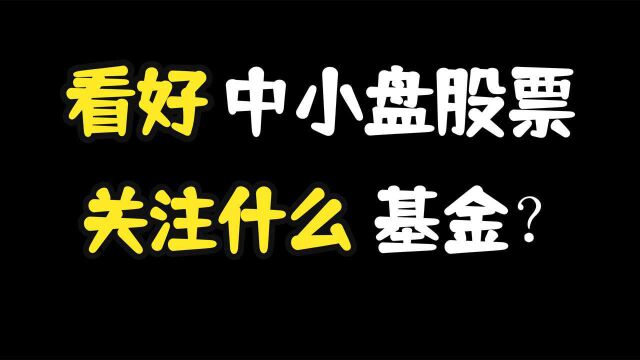 看好中小盘股票!关注哪些基金?