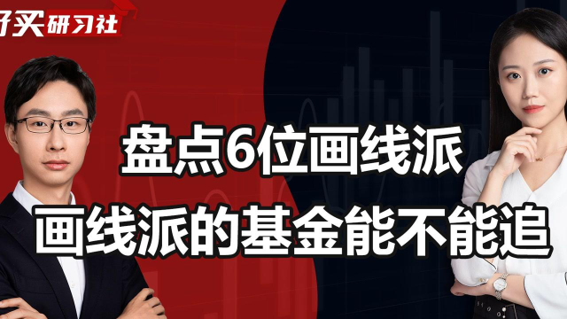 刘畅畅杨金金束金伟画线派高手的基金要追吗