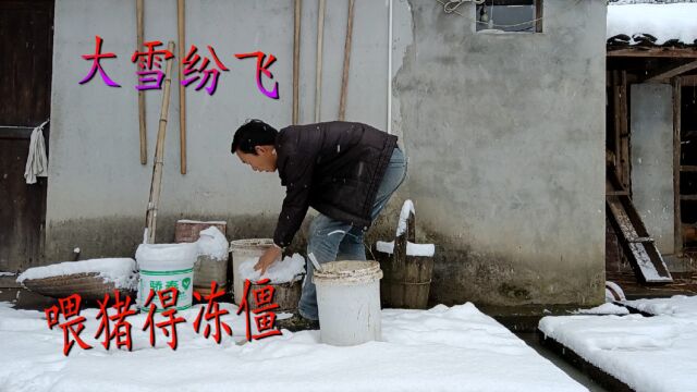 湖南怀化下大雪,小伙提前做好了准备,还是低估了天气