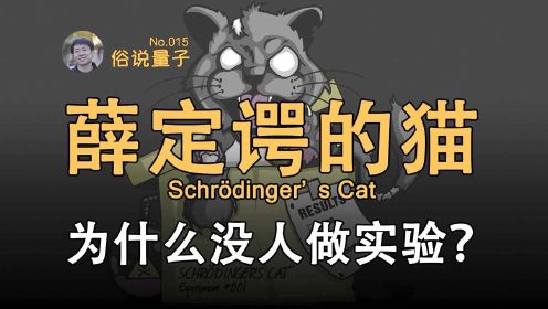 【俗说量子】“薛定谔的猫”能否既死又活？为什么没人做实验？