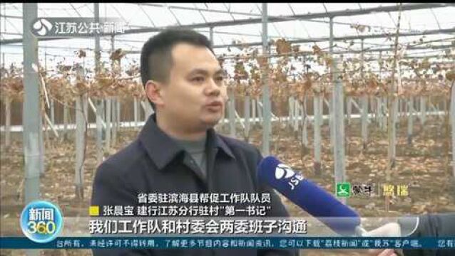 盐城:特色农业吸引外出务工人员返乡 创新金融服务助力乡村振兴