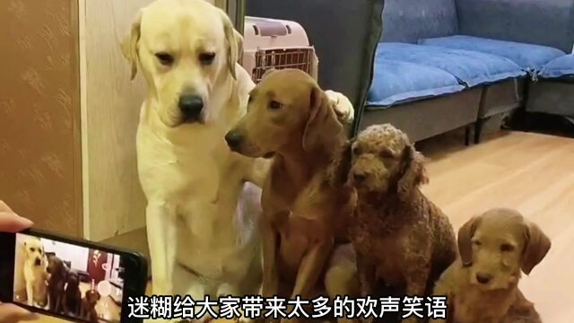 小迷糊的搞笑回忆录,和姥爷斗,其乐无穷