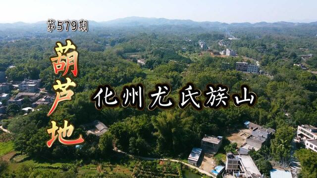 广西陆川清湖的化州尤氏族山,山形象倒地葫芦