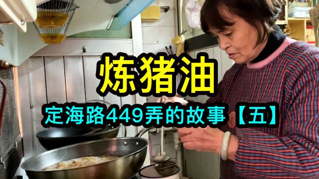 上海定海路449弄的故事【五】养过100多只猫,每年冬天炼猪油