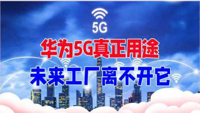 这才是华为5G真正用途,未来所有工厂离不开它,美国只能乖乖掏钱