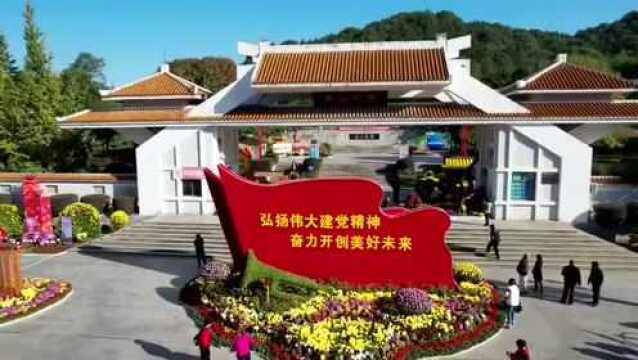 宜春市第八届菊花展市老年大学摄像班外拍习作集