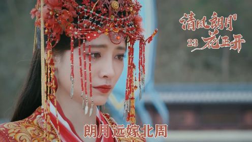 速看《清风》23：朗月远嫁北周