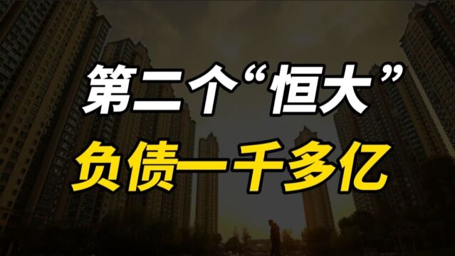 第二个“恒大”诞生,背负1013亿债务,老板却一年套现131亿