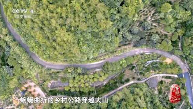 感人!这条公路的建成使卖花渔村的盆景销售到全国各地