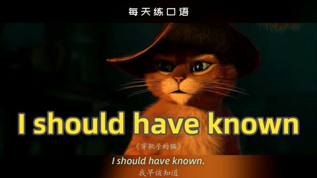 看电影学英语口语~I should have known