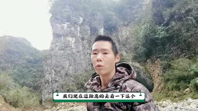 小众景点第七集:楠木沟,民国时期的猫儿洞