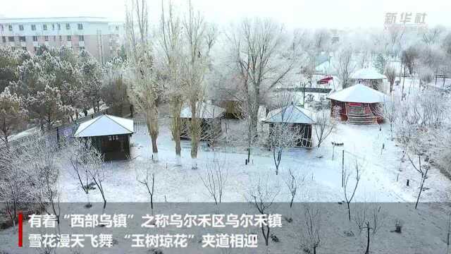 新疆乌尔禾:暮雪纷纷 满地霜华