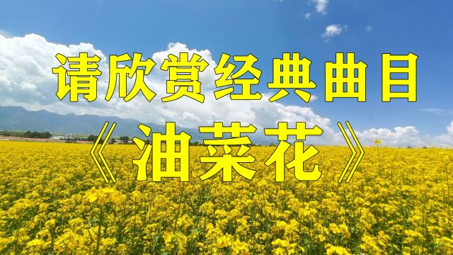 请欣赏经典曲目《油菜花》