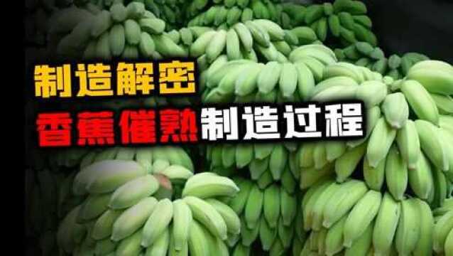 绿色香蕉怎么变黄?用这种办法催熟,不仅颜色好看,味道也更甜