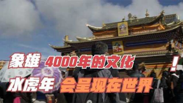 水虎年是吉祥年,4000多年前的象雄文化,将展现世界