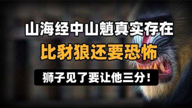 山海经中的山魈真实存在,比豺狼还要恐怖,狮子见了要让他三分!