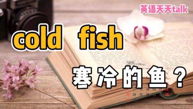 英语“cold fish”,到底啥意思?不是指“寒冷的鱼”哦