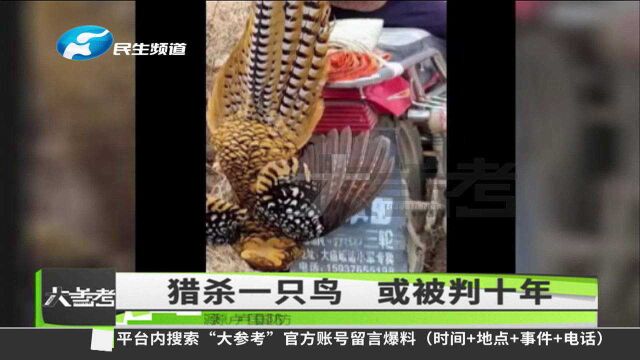 河南信阳:男子被曝非法捕猎一级保护动物,律师:或面临10年以上刑期