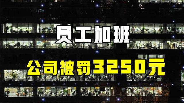 公司因让员工加班,违反劳动法被罚3250元,网友:太少了!