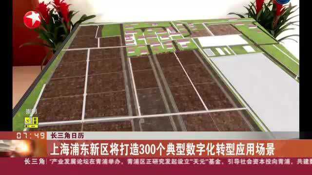 长三角日历:上海浦东新区将打造300个典型数字化转型应用场景