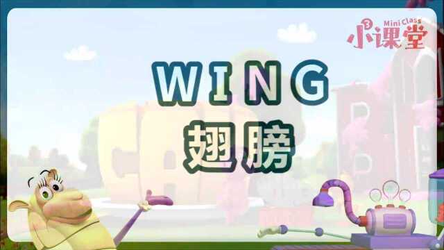 049.单词世界小课堂wing