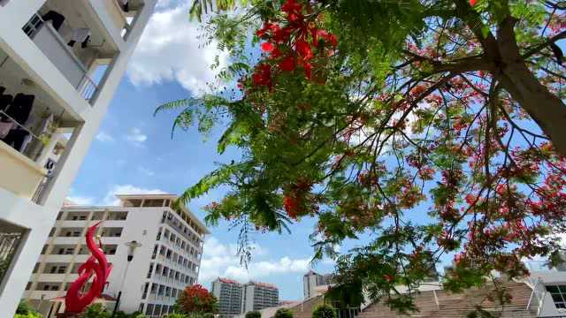 揭秘!漳州港厦大附中为什么能跻身首批省级示范高中?