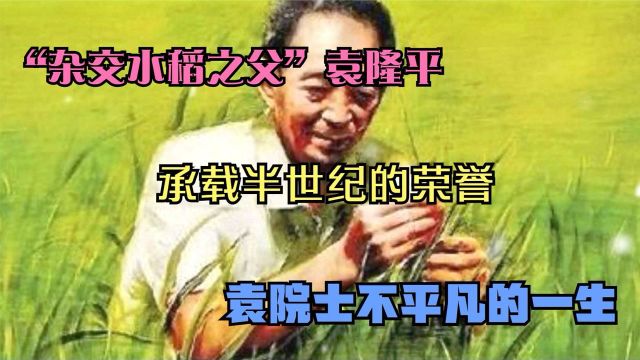 “杂交水稻之父”袁隆平,承载半世纪的荣誉,袁院士不平凡的一生