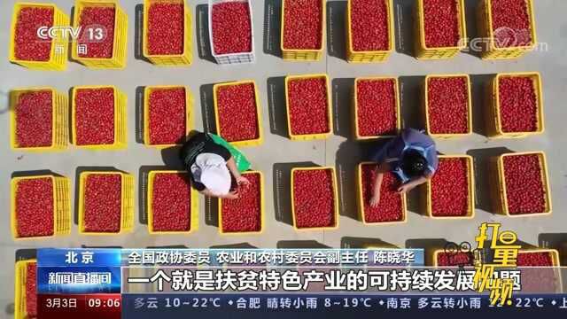 履职一年间:牢记“国之大者”,践行“为民尽责”