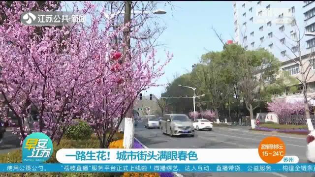 街头巷尾繁花进入盛花期 一路生花!城市街头也能满眼春色