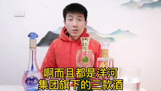 洋河双沟的中档低度酒水平如何?今天来对比品鉴