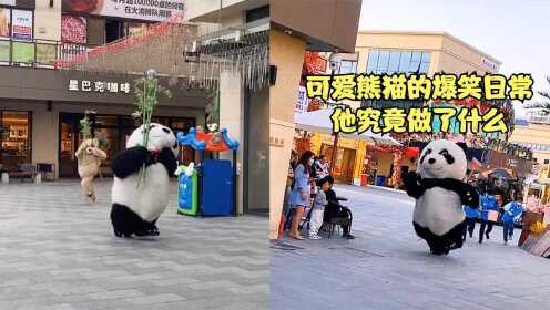小熊喵呀：可爱熊猫的爆笑日常，正在被追着打，他究竟做了什么？