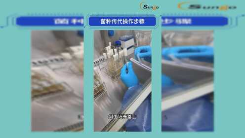 沙格实验室——《无菌微生物规范化实验系列之菌种传代操作步骤》_高清1080P在线观看平台_腾讯视频