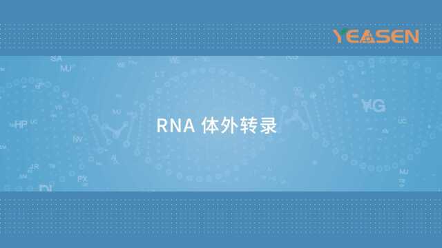 mRNA实验操作流程