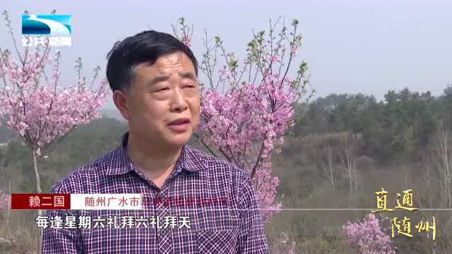 广水柏林村:荒山不荒花锦簇, 乡间路上众人游