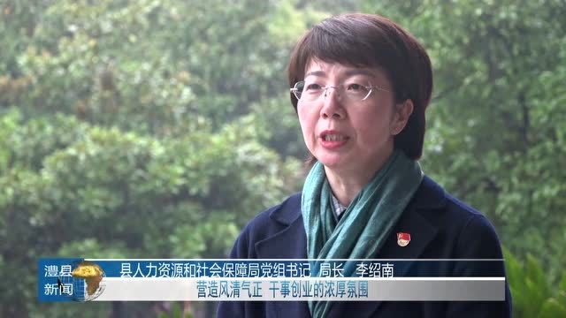 落实《县政府工作报告》专访|澧县人力资源和社会保障局局长 李绍南