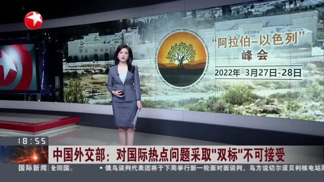 中国外交部:对国际热点问题采取“双标”不可接受