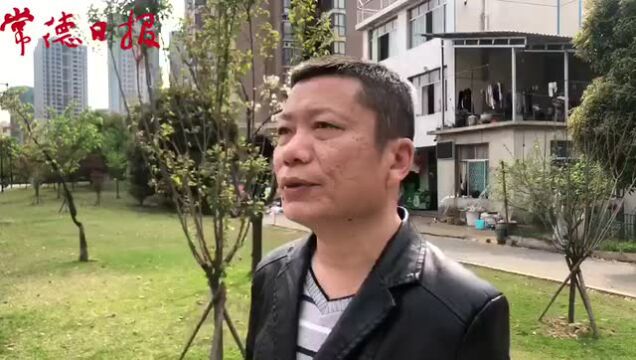 糟心!穿紫河风光带变私人“农场” 市内散养鸡遭投诉