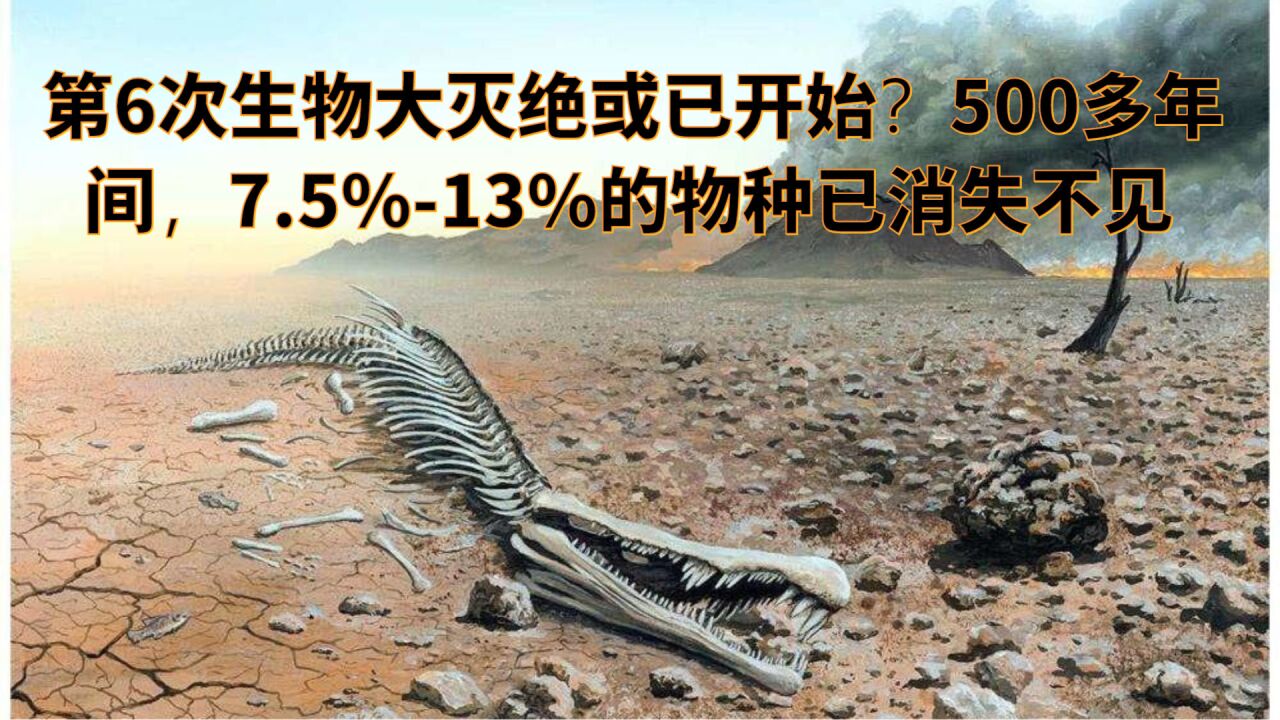 第6次生物大灭绝或已开始?500多年间,7.5%-13%的物种已消失不见