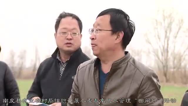 南皮融媒 | 河北南皮:分类指导入田间 小麦丰收有保障