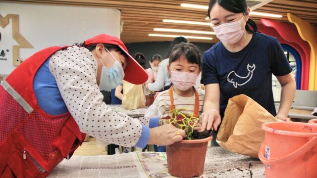 推进垃圾分类措施,横琴有新招!收集厨余垃圾可兑换花苗